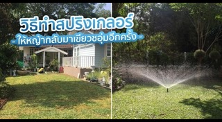 วิธีดูแลสวน