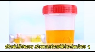 วิธีดูแลสวน