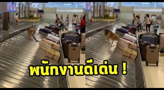 สุนัขตำรวจ