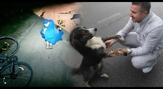 มิตรภาพคนกับสัตว์