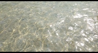 น้ำทะเล