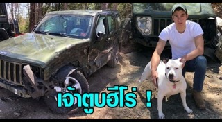 หมาช่วยคน