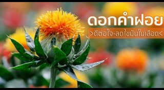 สมุนไพรลดไขมัน