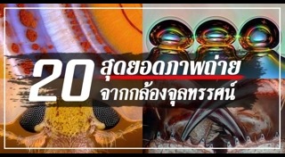 ภาพถ่ายยอดเยี่ยม