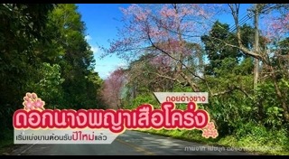ดอกไม้เมืองหนาว