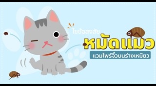 วิธีไล่แมลง