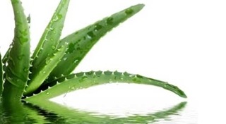 บำรุงผม