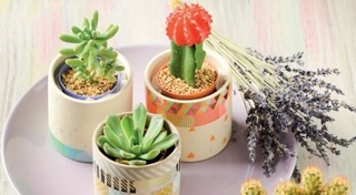 DIY กระถางต้นไม้