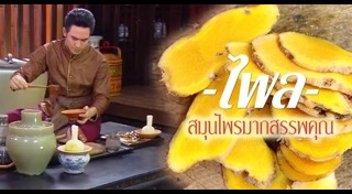 ไพล