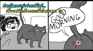 การ์ตูนล้อเลียน