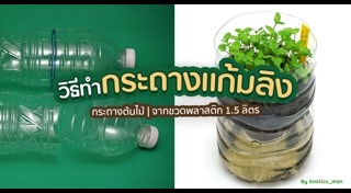 DIY กระถางต้นไม้