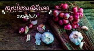 สมุนไพรแก้ไอ