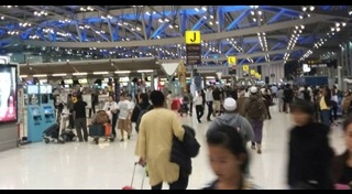 ใบตรวจคนเข้าเมือง