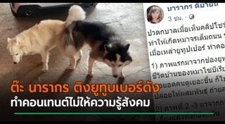 สัตว์ผสมพันธุ์