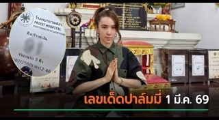 ปาล์มมี่