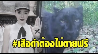 เก๋ ไฮโซพร้อม