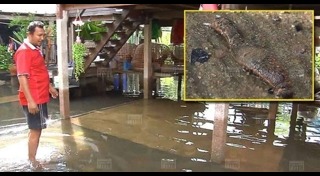 น้ำท่วมปทุมธานี