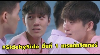 Side by Side พี่น้องลูกขนไก่