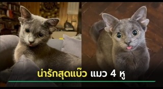 ข่าวสัตว์เลี้ยง