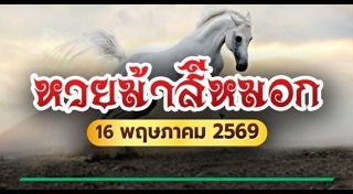ม้าสีหมอก