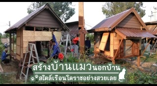 อินสตาแกรมแมว