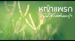 ดอกไม้ไหว้ครู