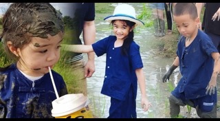 ปลูกข้าว