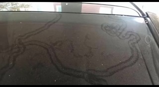 รอยพญานาค