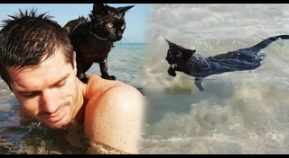 แมวว่ายน้ำ