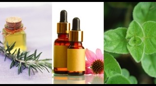 กลิ่นเต่า