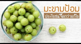 มะขามป้อม