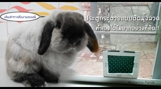 วิธีเลี้ยงกระต่าย