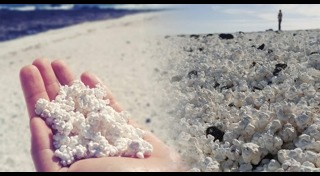 ป๊อปคอร์น