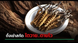 สมุนไพรปลุกอารมณ์ทางเพศ