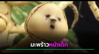 มะพร้าว