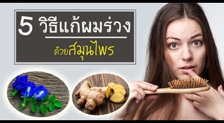 สมุนไพรแก้ผมร่วง