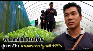 ผักไฮโดรโปนิกส์