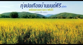 ทุ่งปอเทือง