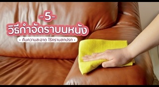 เชื้อราในบ้าน