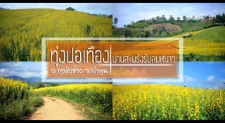 ลำพูน