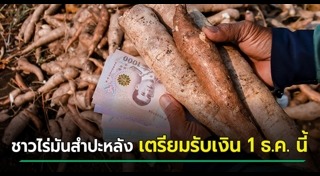 มันสำปะหลัง