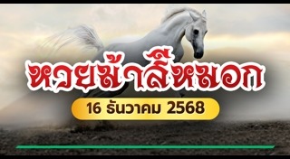 ม้าสีหมอก