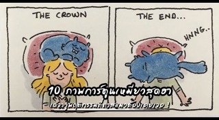 พฤติกรรมแมว