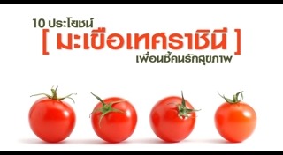 มะเขือเทศ