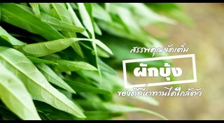 อาหารบำรุงสายตา