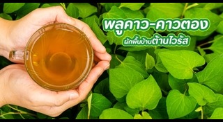 สมุนไพรรักษาโรค