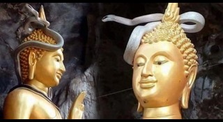 งูเผือก