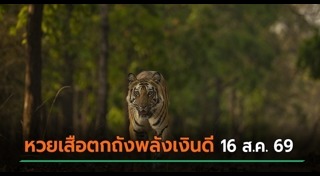 เลขเด็ดงวดนี้