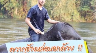 ควาญช้าง