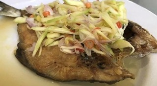 ปลาย่าง